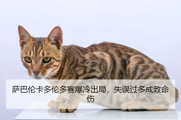 萨巴伦卡多伦多赛爆冷出局，失误过多成致命伤